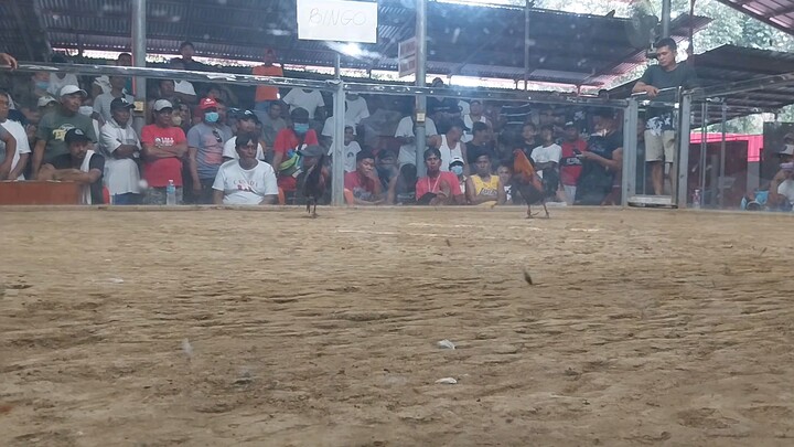 2nd fight silat para champion