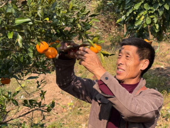 Haha haha hôm nay bố mình bị Lee Dong-wook rượt trong vườn trái cây rồi!