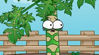 If you want papaya to bear fruit, you must first "transgender" it