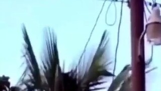 Fast Food #kfc  #jaegersupreme #funnyvideo #youtube #fyp #indonesia🇮🇩 #philippines #meme #chickenr