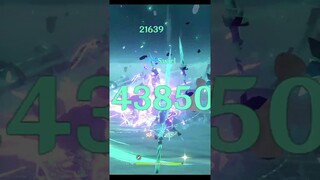 C0 Xiao Vs C1 Wanderer