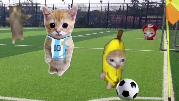 Chú mèo chuối và con búp bê tranh bóng trên sân đấu