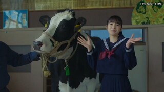 (ซับไทย) สาวม.ปลายกับประมวลกฎหมายทั้ง 6 ตอนที่ 4