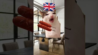 kucing lucu mukbang sosis #shorts #funny #mukbang #meme #eating #food #sosis #makansesuaiemoji