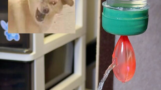 学网上用吹波球做水滴