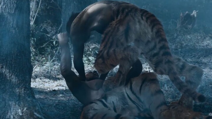 ร่างกายของเสือเกิดการกลายพันธุ์ กลายเป็นครึ่งคนครึ่งเสือ คอยตามล่าเก็บสะสมวิญญาณมนุษย์โดยเฉพาะ ภาพยน