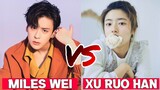 Miles Wei vs Xu Ruo Han (Perfect and Casual) Lifestyle |Comparison, Biography, |RW Facts & Profile|