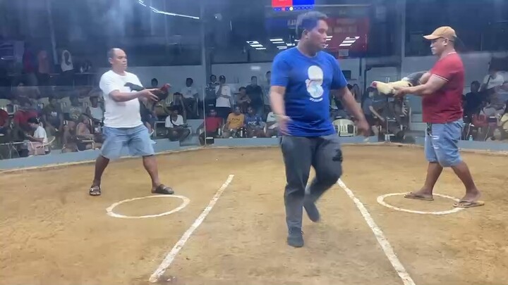 Amenic ISC cup 3stag elimination 7stag derby WW both sbr L Bulik