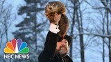 Punxsutawney Phil makes 2023 Groundhog Day prediction | NBC News