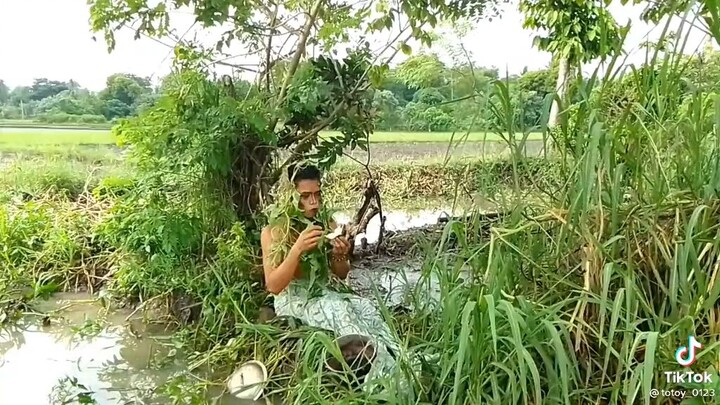 namataan kakaibang serina