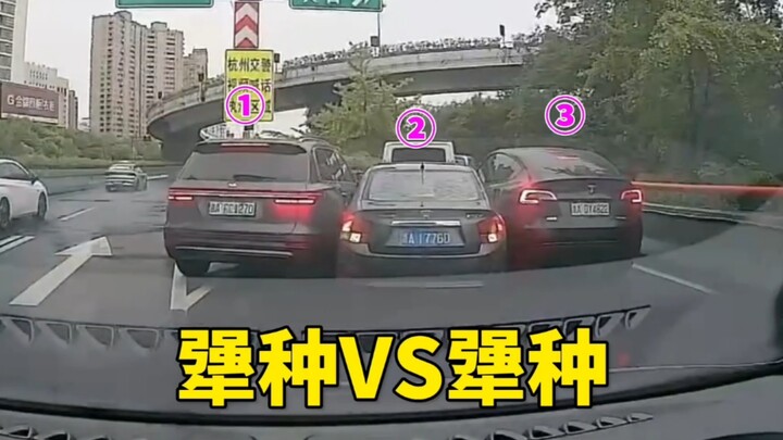 犟种VS犟种，好一对卧龙凤雏！