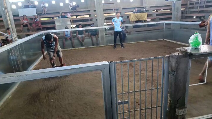 1st fight!! WIN 🤑