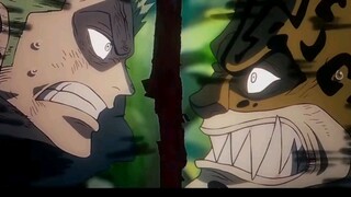 Ngeri banget Zoro Vs Kucing Garong