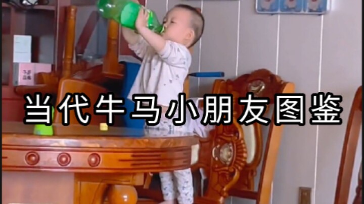 Illustrated Guide to Contemporary Cows and Horses