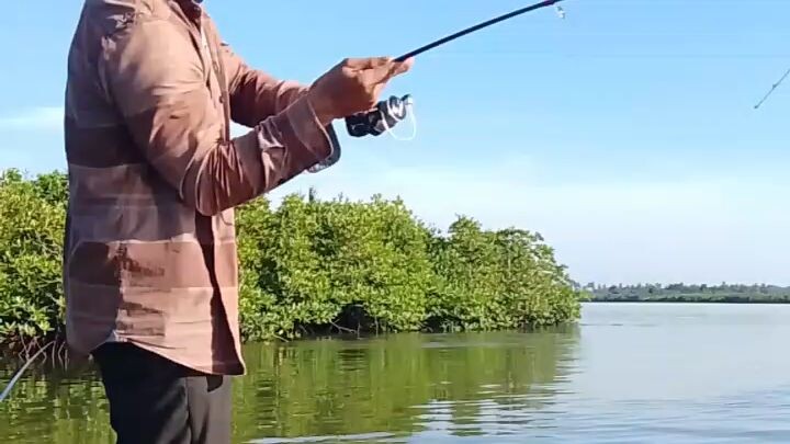 MANCING MANTAP