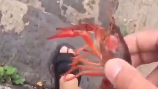 放个生差点把我带走！！！！