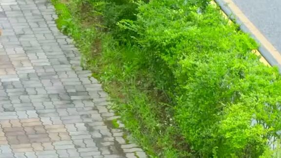 no going back romance