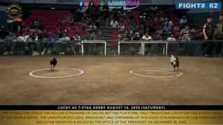 BJA vs PATRICK ANTONIO 7 Stag Derby