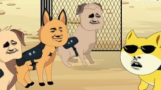 Episode 2 | Ikkiu leads three stupid dogs to escape from prison. How did he get into the civil servi