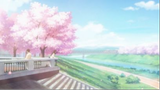 Let Me Down Slowly  I Want to Eat Your Pancreas AMV #animehay