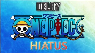 KACAU!!! ONE PIECE malah HIATUS!!!!!!!!! padahal 1043....