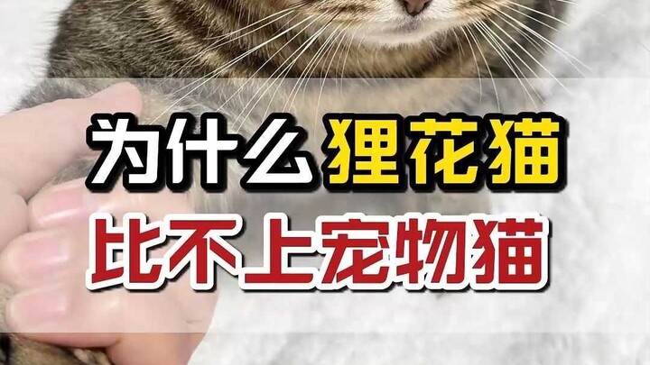 Because it has a fatal flaw