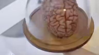 cuci otak yang sesungguhnya