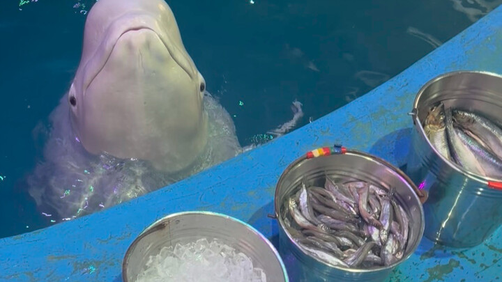 Xiao Hei really knows how to put outfits together.