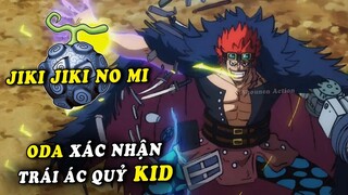 Tác giả ODA xác nhận Trái Ác Quỷ của Kid ,Jinbei tượng trưng cho Gấu - One Piece SBS tập 99 mới nhất