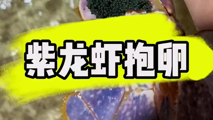 Nothing more to say, let’s make the arrangements!