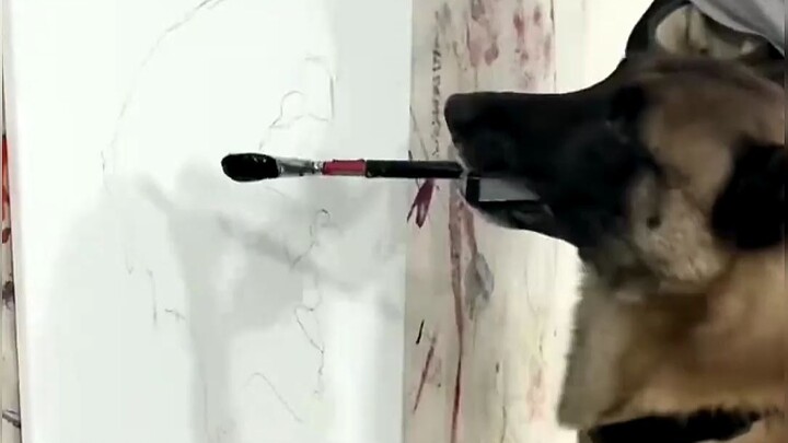 أول مرة أشوف كلب بموهبة فنية زي هيك!