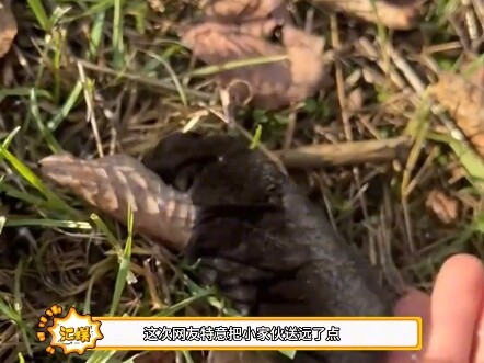 【Yi Li Sabai】is updated! Come take a look now!