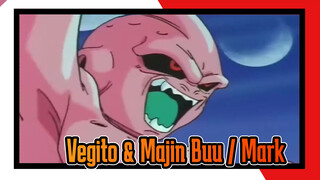 Vegito Is Dying / Facing Majin Buu, Mark Bravely Saved Vegito | Dragon Ball