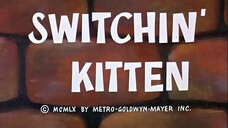 Switchin' Kitten