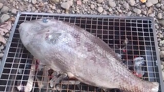 Isda
