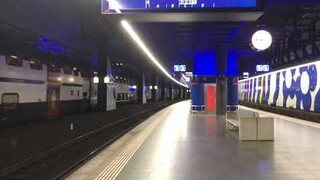 Trains at Zurich Airport with Boerger 44