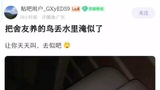 هاكي جي من قناة عشاق الطيور