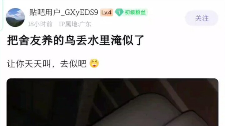 هاكي جي من قناة عشاق الطيور