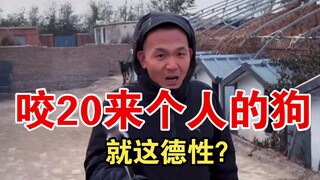 咬20来个人的狗，就这德性！