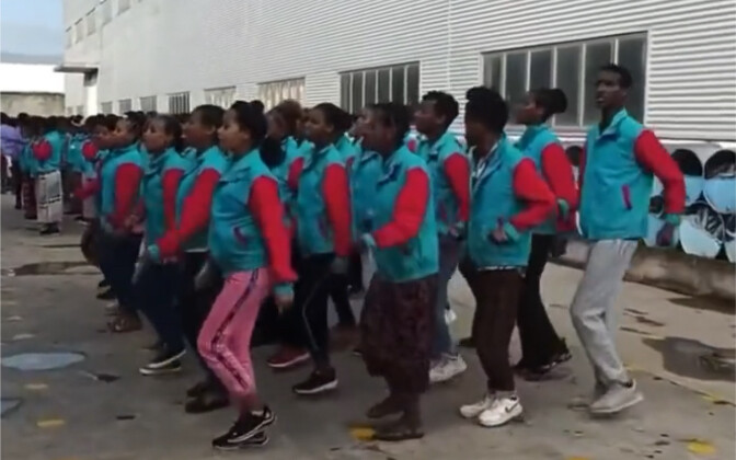 Sedikit Guncangan Afrika yang Mungil