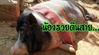 🥱น้องรวยตื่นสาย...😴