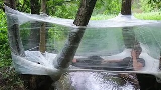 Menggunakan film plastik untuk membuat tenda transparan yang "menggantung", tampaknya masih terlalu 