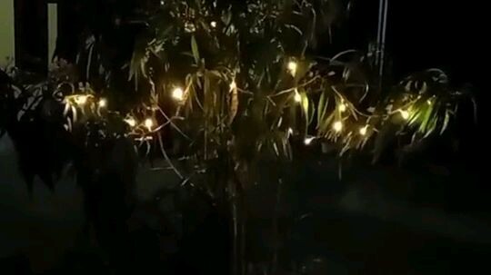 Christmas tree