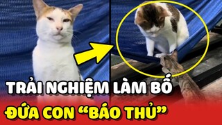 Trải nghiệm của MÈO BỐ khi có đứa con BÁO THỦ 😂 | Yêu Lu