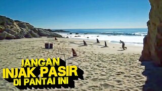 PANTAI INI SUDAH BANYAK MAKAN KORB4N JIWA‼️