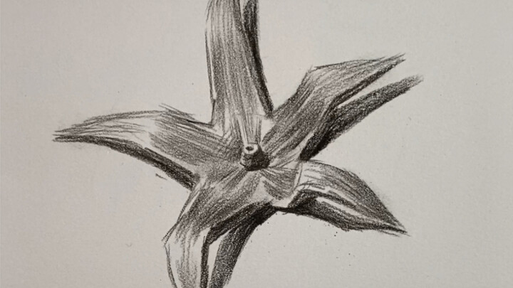 【静物素描】西红柿叶子画法