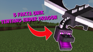 5 Fakta Unik Tentang Ender Dragon di Minecraft