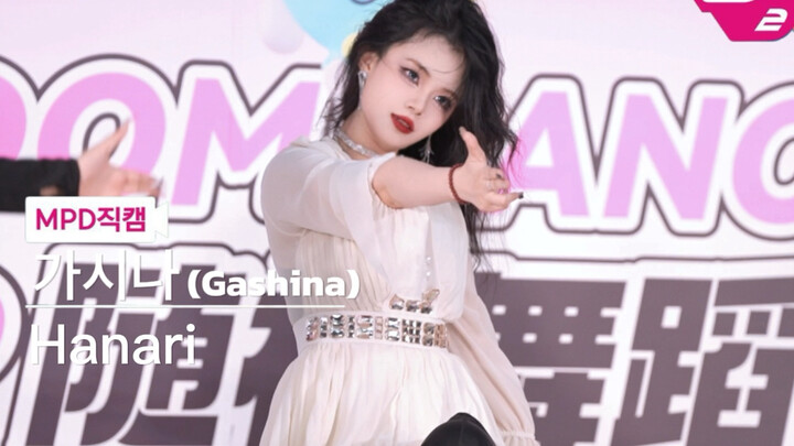 【Hoa Lê】Khi fan girl cầm “đại bác” đến quay trực tiếp… “Gashina – Sunmi”