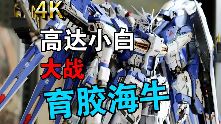 什么？高达小白要做育胶海牛？！