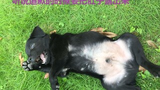 蔡徐坤看到这个视频一定会打死我！